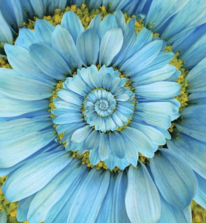 Easy Way Icon_533x533